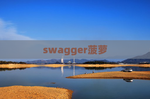 swagger菠萝 swagger菠萝